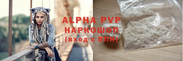 спиды Тайга