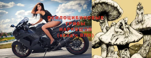 спиды Тавда