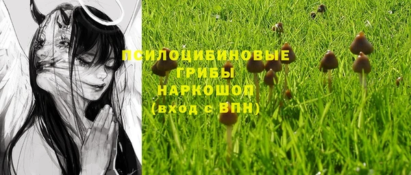 спиды Верея