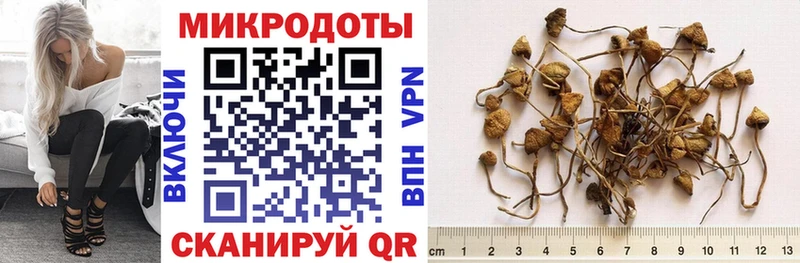 Псилоцибиновые грибы GOLDEN TEACHER  дарнет шоп  Мариинск 