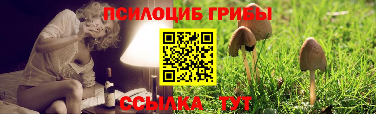 Мариинск  Псилоцибиновые грибы ЛСД  Вход с VPN 
